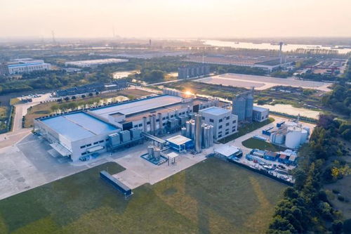燕麥奶巨頭Oatly 2021年財報解讀 總收入超6億美元，為何能超越市場預期？