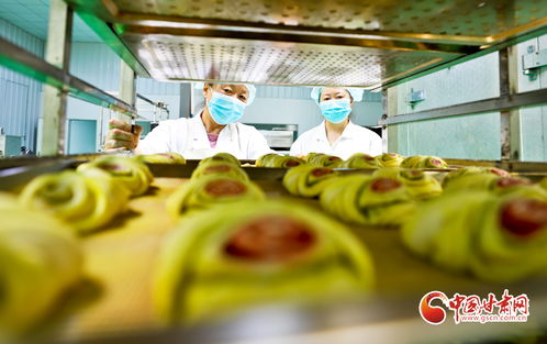 麥香滿溢民樂縣 傳統工藝農副產品，豐收季里享歐佩科
